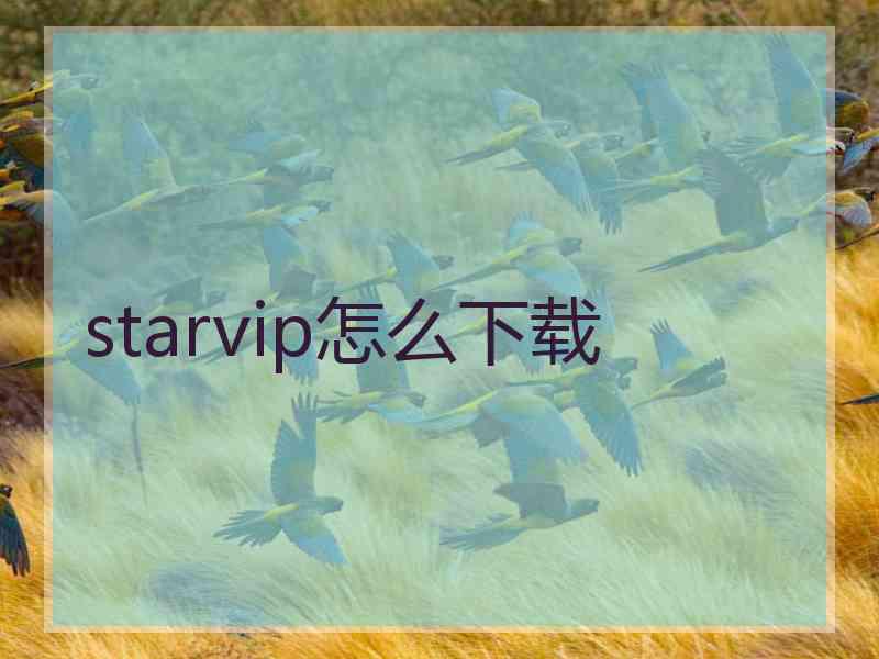 starvip怎么下载