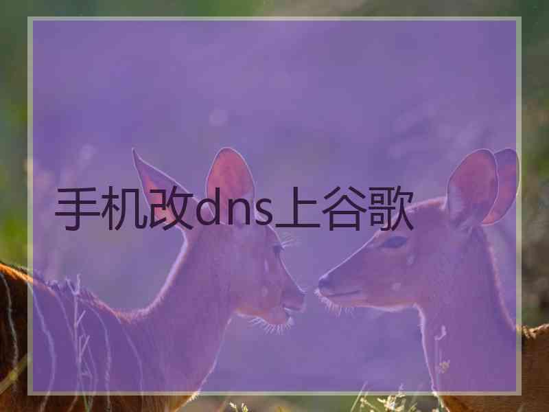 手机改dns上谷歌