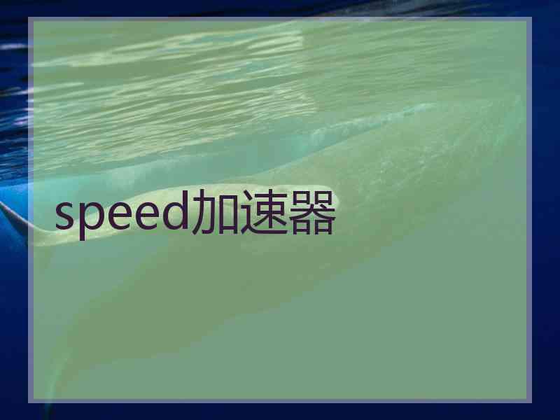 speed加速器