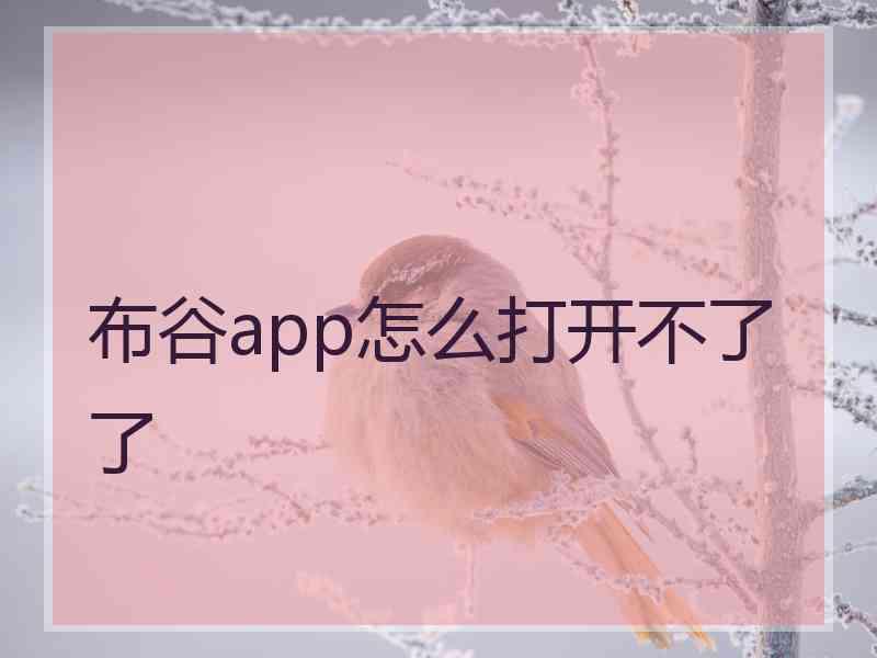 布谷app怎么打开不了了