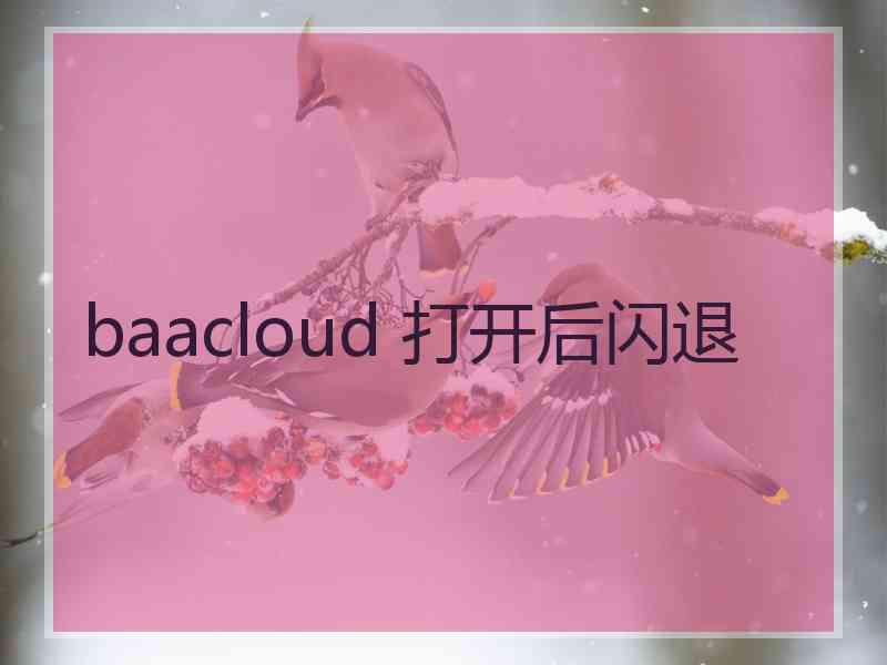 baacloud 打开后闪退