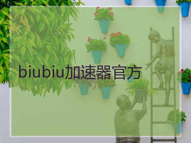 biubiu加速器官方