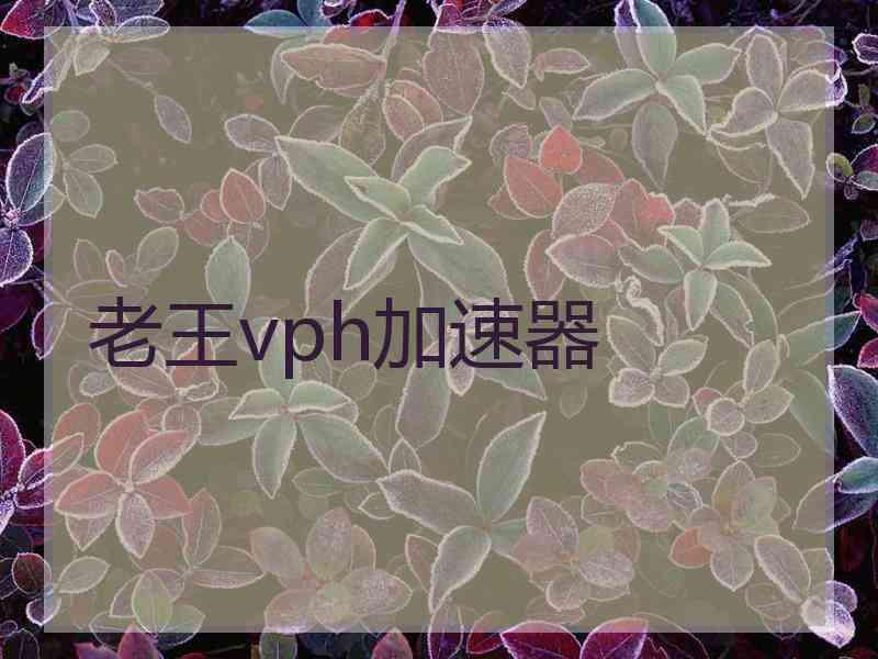 老王vph加速器