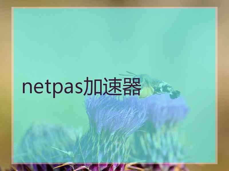 netpas加速器