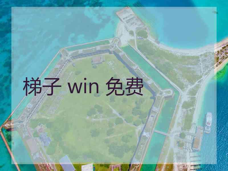 梯子 win 免费