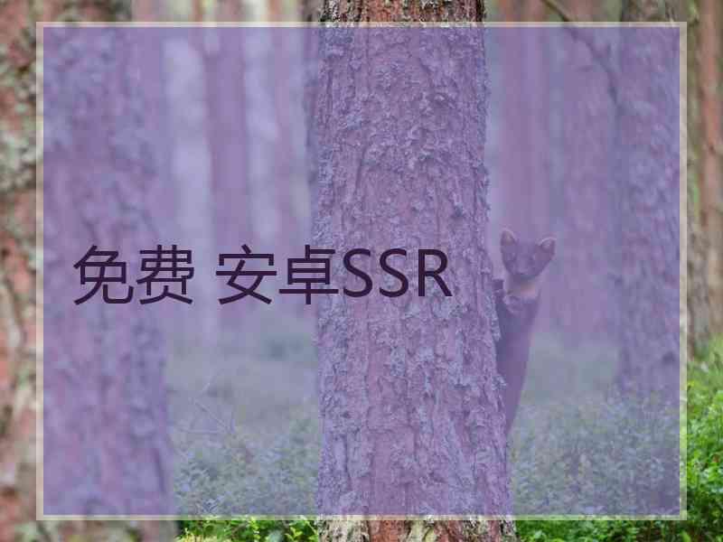 免费 安卓SSR