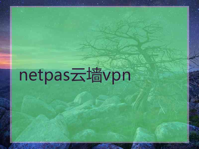 netpas云墙vpn