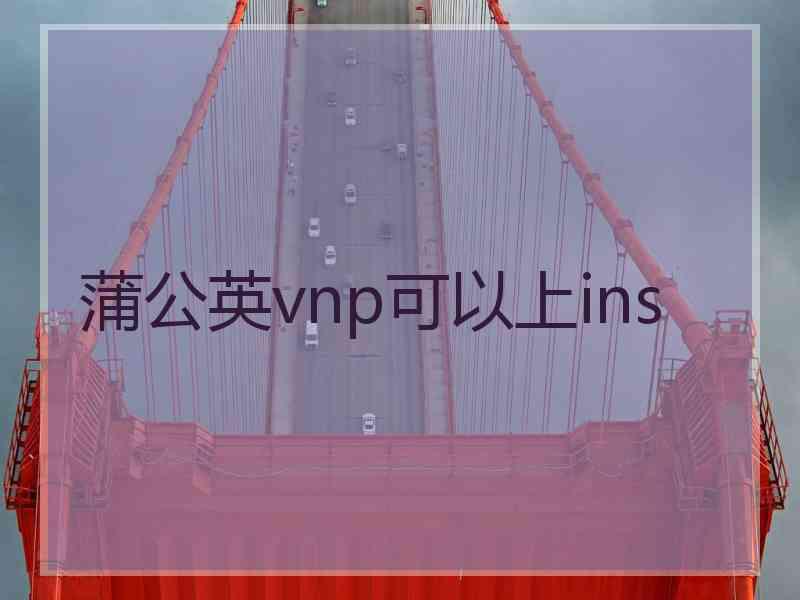 蒲公英vnp可以上ins