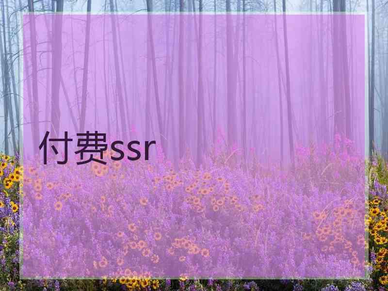 付费ssr