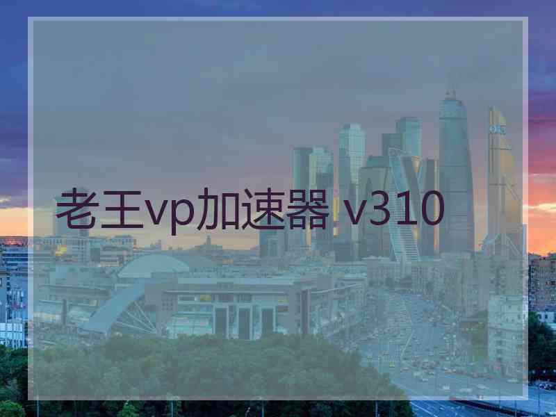 老王vp加速器 v310