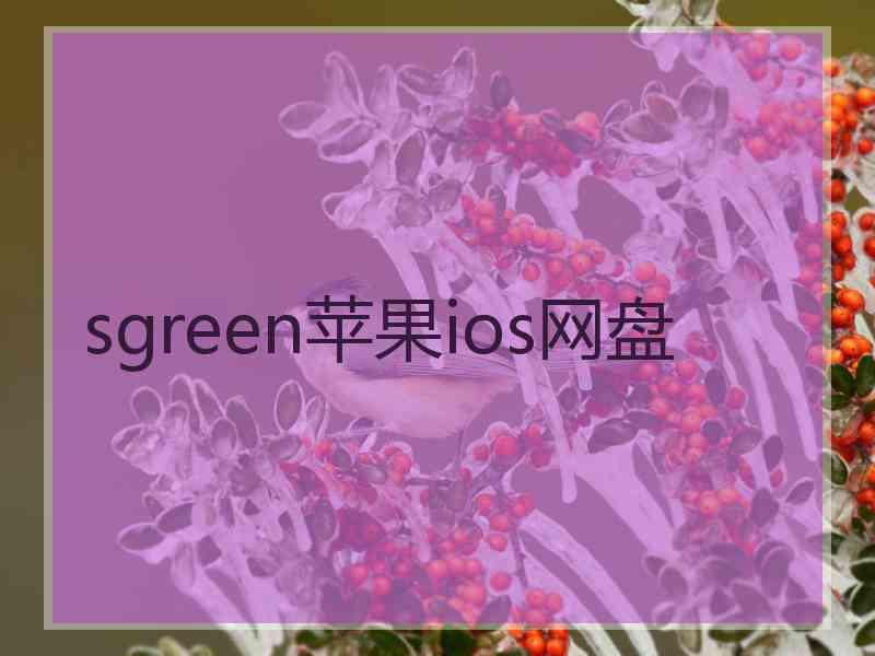 sgreen苹果ios网盘