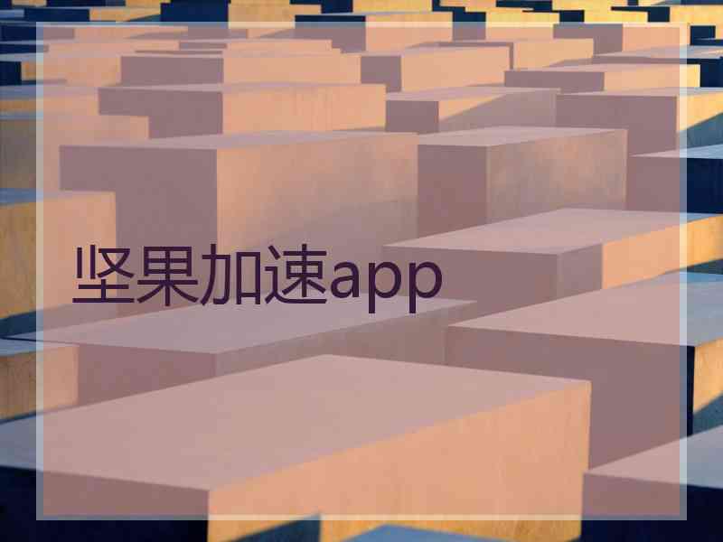 坚果加速app