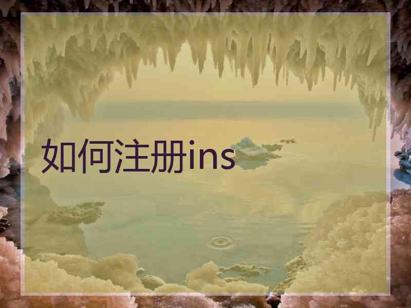 如何注册ins