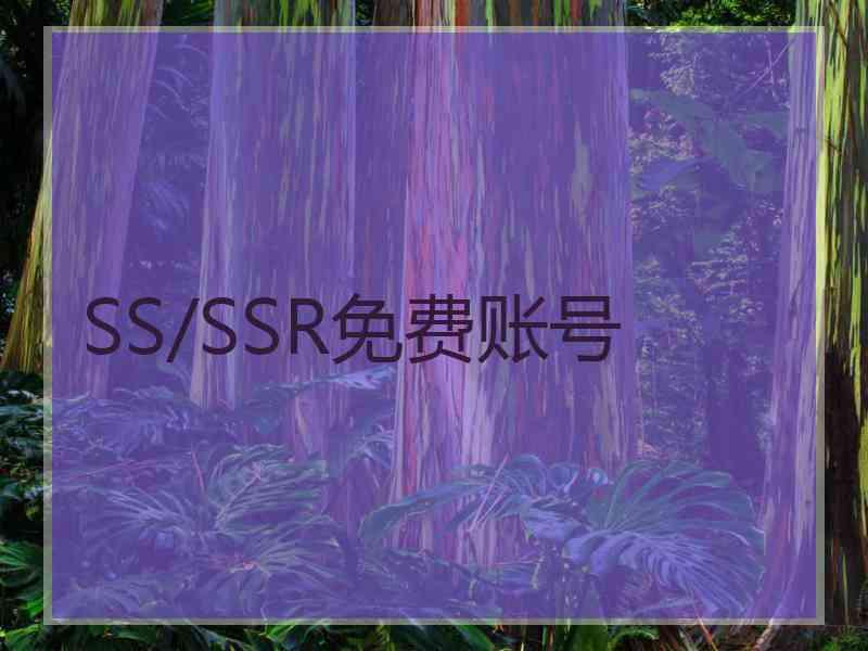 SS/SSR免费账号