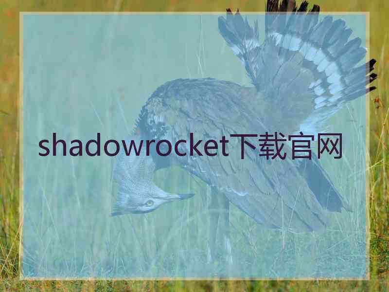 shadowrocket下载官网