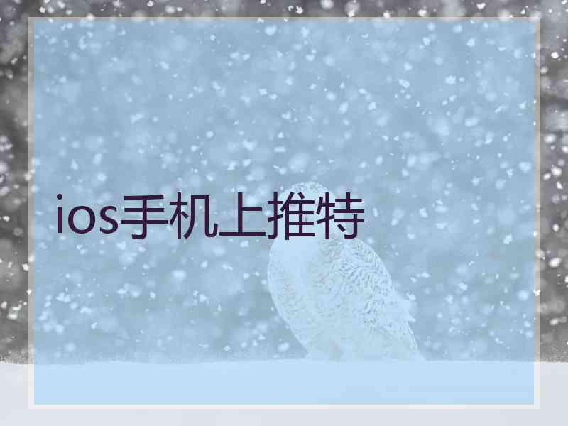 ios手机上推特