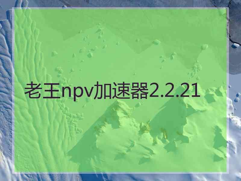 老王npv加速器2.2.21