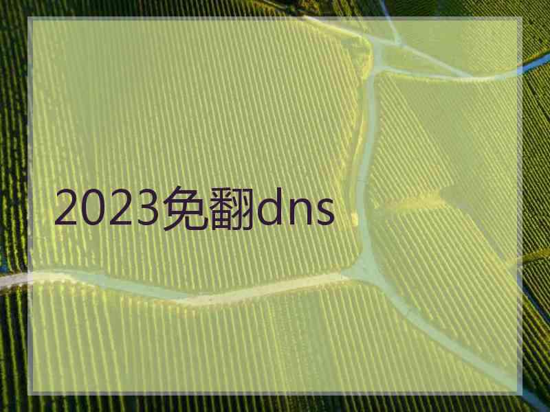 2023免翻dns