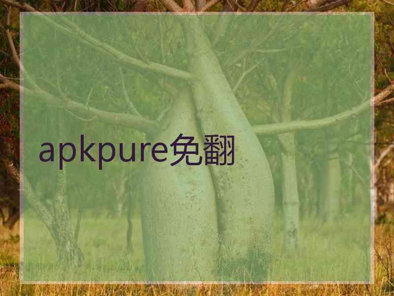 apkpure免翻