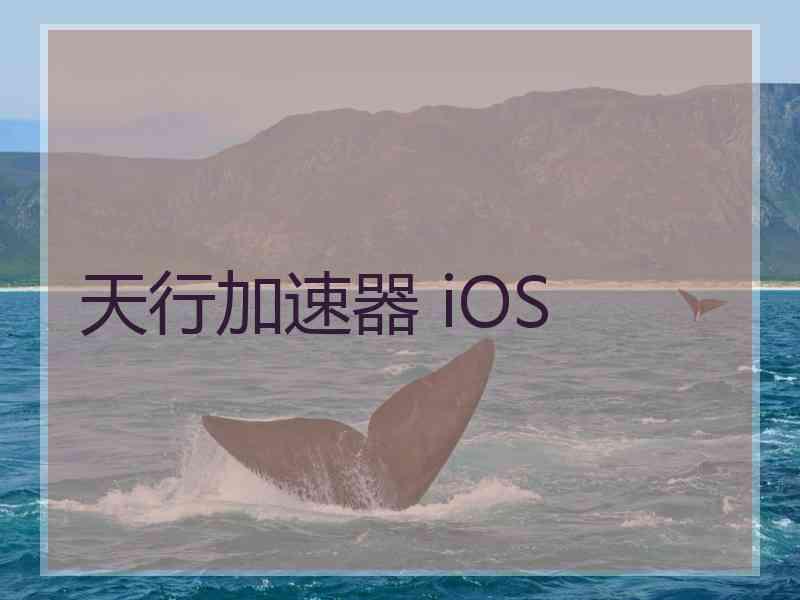 天行加速器 iOS