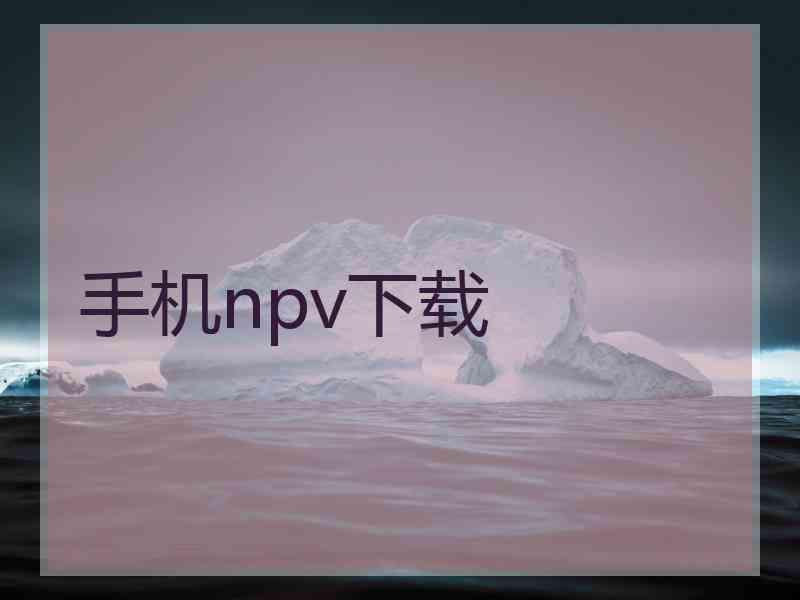 手机npv下载