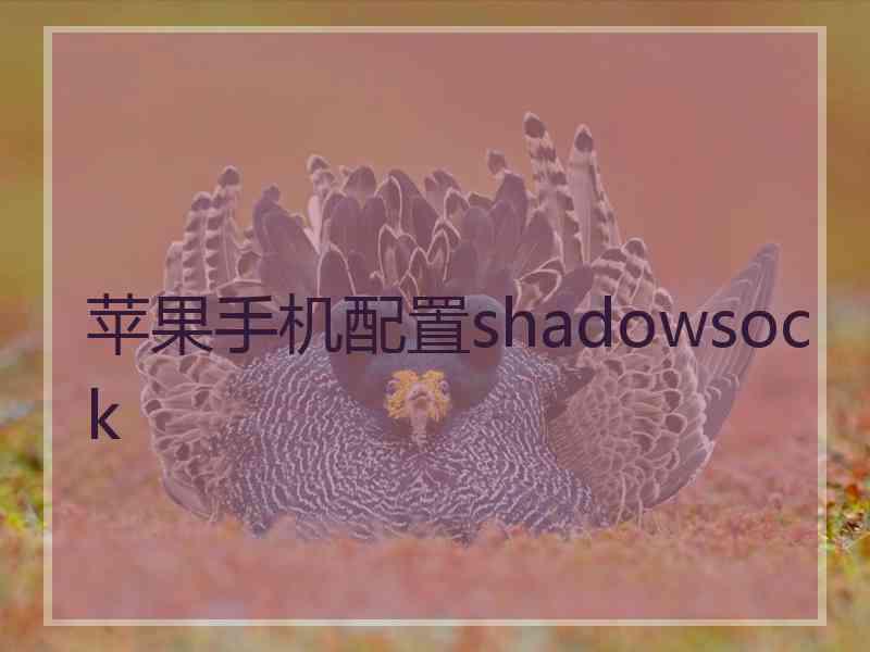 苹果手机配置shadowsock