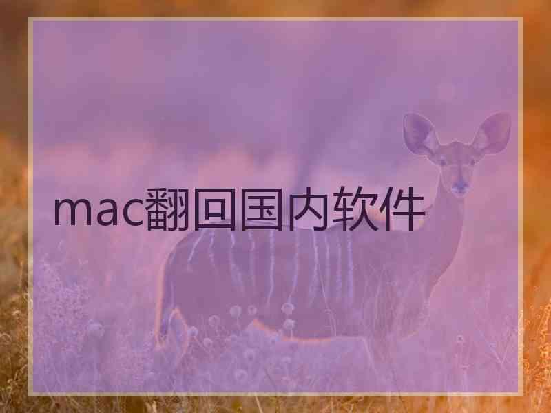 mac翻回国内软件