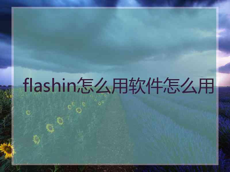 flashin怎么用软件怎么用