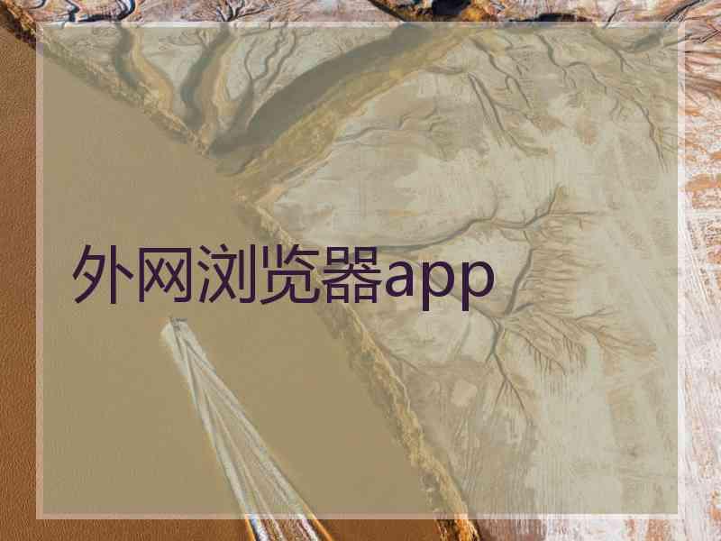 外网浏览器app