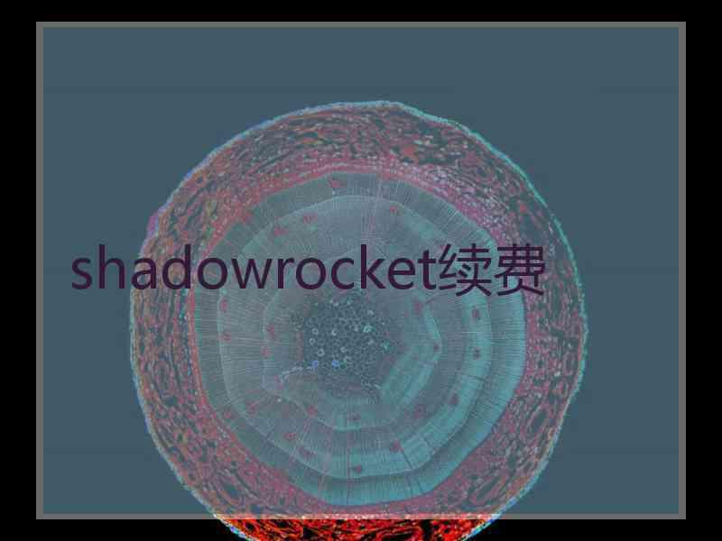 shadowrocket续费