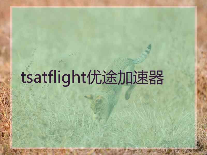 tsatflight优途加速器